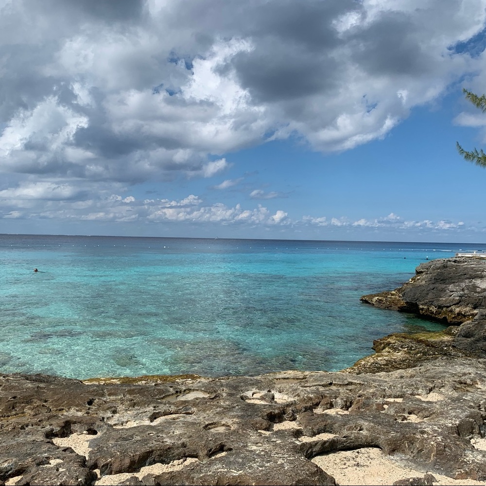 Meet your Posher, Lexi